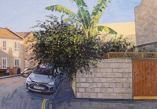 A touch of the tropics