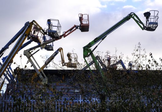 cranes as big as dinosaurs